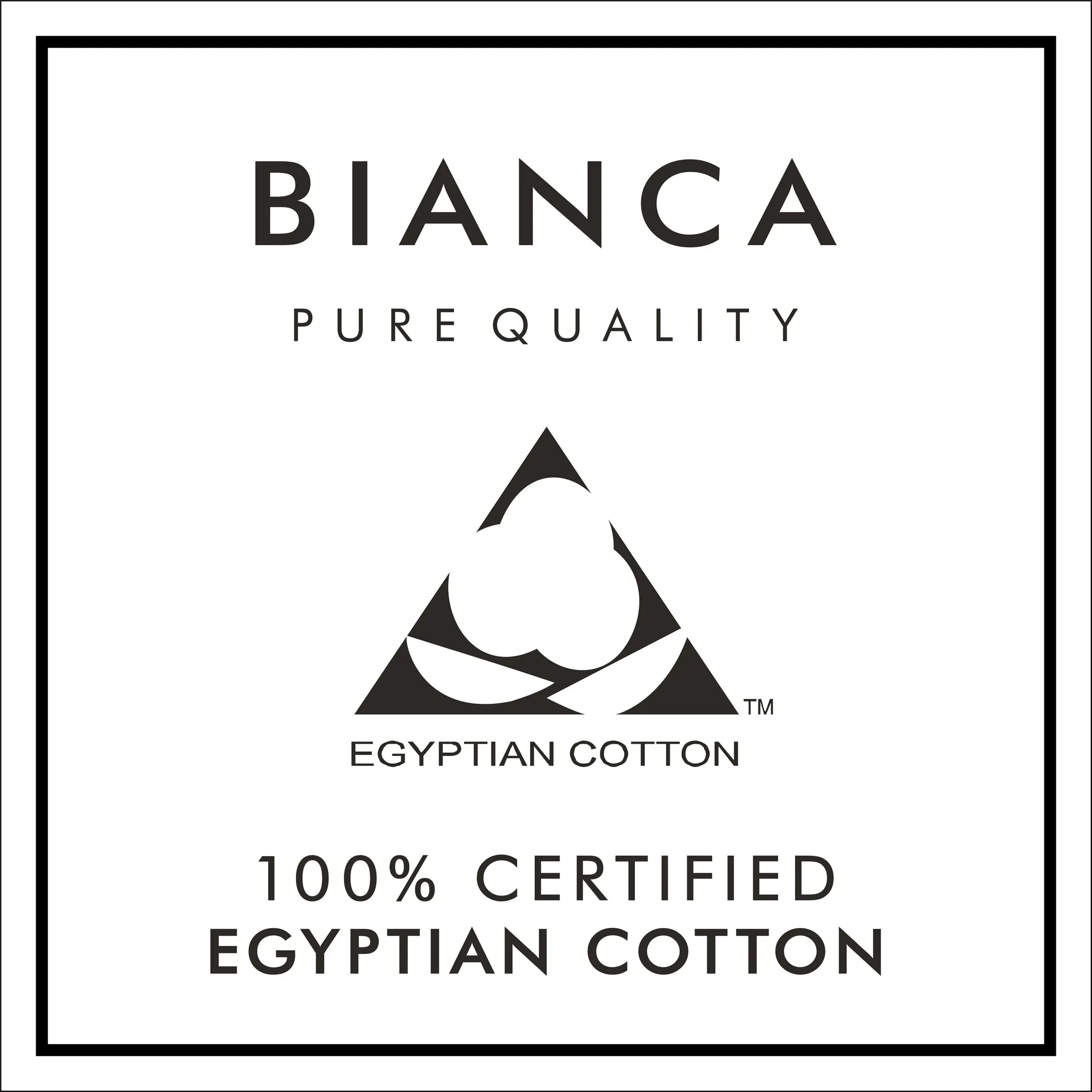 Bianca White 180 Thread Count Egyptian 100% Cotton Deep (34cm) Fitted Sheet