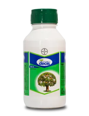 Decis 100 EC Insecticide