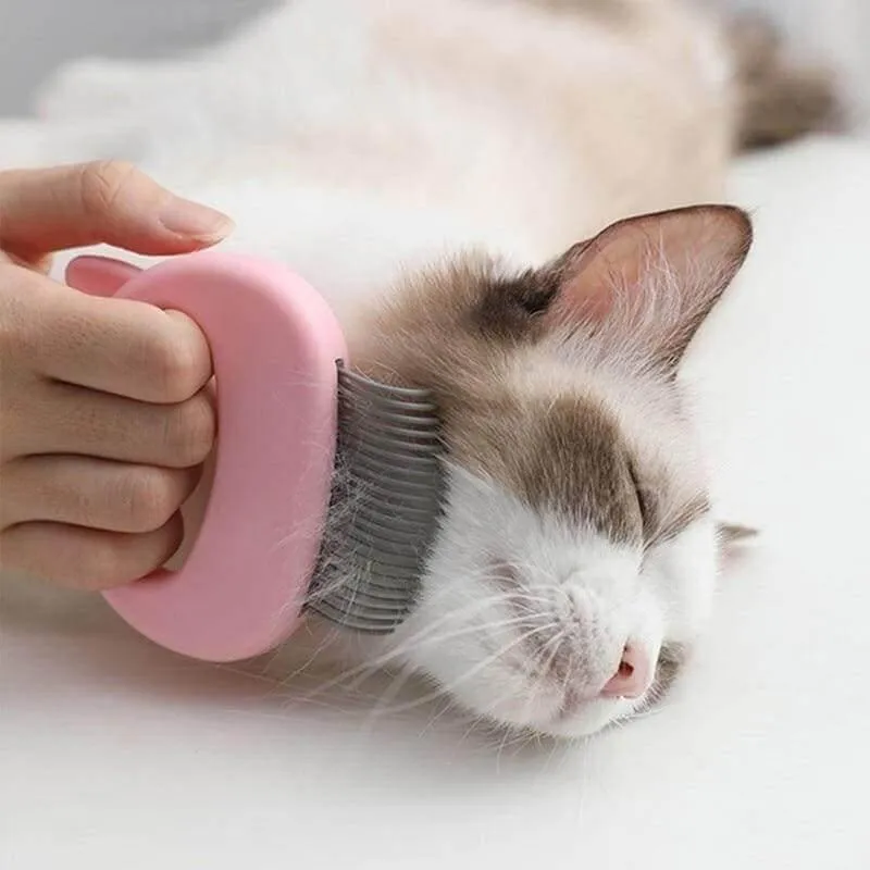 Hair Removal Cat Massaging Shell Comb