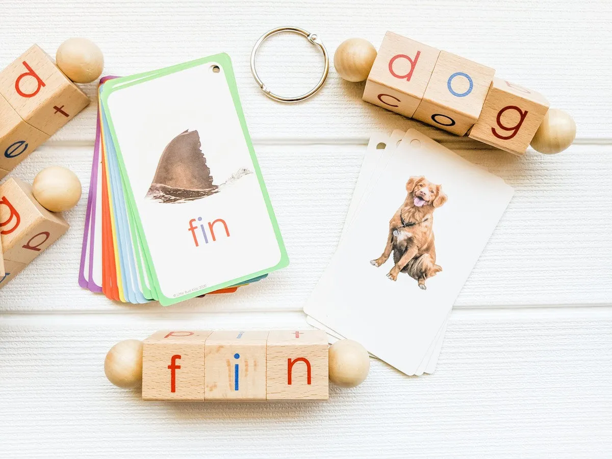 Spin-and-Read Phonetic Reading Blocks & CVC Phonics Flashcard Set