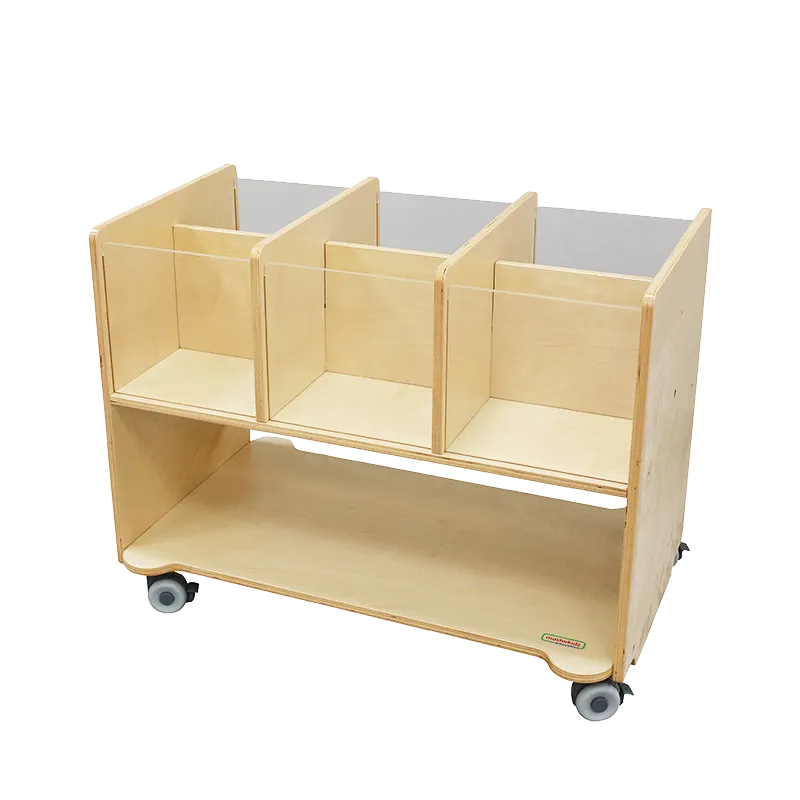 Visible-Compartment Storage Station (6 Compartments)